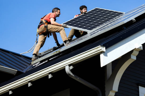 Best Roof Moss and Algae Removal  in Frontenac, KS