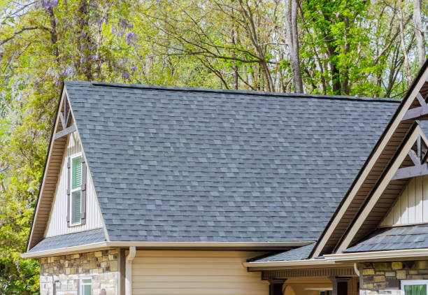 Best Solar Panel Roofing Installation  in Frontenac, KS